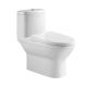 Washdown 1 Piece Dual Flush Toilet S trap 185mm Closestool