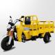 USA Market Moto Tricycle 250cc Cargo Gasoline Passenger Tricycle with Tire Size 5.0-12