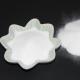 White Powder DSM Neocryl B885 Solid Acrylic Resin For Galvanized Paint