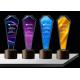 Sandblasting / Lasering Logo Glass And Crystal Trophies , Personalised Glass Awards