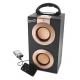 active trolley speaker/portable speaker with USB/SD function