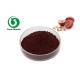 Pure Natural Grape Seed Extract Proanthocyanidins 95% Medical / Food Grade