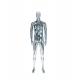 Window Display Silver Male Mannequin , 196CM Height Standing Male Mannequin