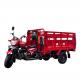 1 Passenger DAYANG Luxury Gas Power Cargo Tricycle 201 250cc Hydraulic 09 Type 2m*1.3m
