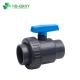 Thread Connection PVC Plastic Single Union Ball Valve for Water Supply in Irrigation