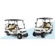 Customized off-Road  Lead acid Battery Hunting Buggy Best Electric Golf Cart