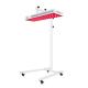Horizontal Stand​ 730nm Full Body Red Light Therapy Device