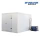 Cold Room Freezer for Vegetables Fruit Meat And Seafood