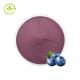 Natural Plant Extracts Freeze Dried Blueberry Powder Pure Blueberry Juice Powder