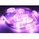 22mm Waterproof IP67 UCS1903 SMD5050 Curtain Led String