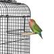 cage small movable perch for birds,finches and bugie