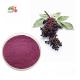 ISO SGS Certified Elderberry Fruit Powder 1%-25% Anthocyanins Elderberry Fruit Extract