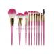 Shinning Magenta Beginner Fantasy Mass Level Makeup Brushes Tools