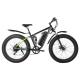 20MPH Fat Tyre Electric Mountain Bike 7Speed Geared Discbraked