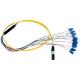 12 Core MPO Fiber Optic Patch Cord Single Mode And Multimode Fiber Optic Cable
