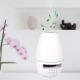 Super Quite Bluetooth Aroma Diffuser With 7 Color Changing Light