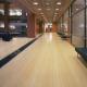 Hospital Eco Forest Holland Hs Morningstar Cafe Noir Kitchen Shelf Multilayer Bamboo Flooring