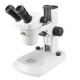 Diopter Adjustment ESD 5X-240 Fixed Stereo Microscope NCS-N8000 Series EW10X/Φ23