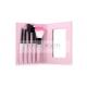 Black Travelling Size Foundation Hair Brush Beautiful Pink Brush Case And Mirror