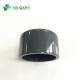 Request Sample of DIN Dn50 Plastic Pipe Plug PVC Socket End Cap for Water Supply