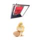 Chicken Gas Brooder Heat Lamp Infrared Heater For Chicks THD2606