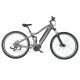 Aluminum Alloy Electric Assist Mountain Bike Lithium Battery LCD Display
