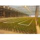 Anti Corrosion Greenhouse Rolling Benches Superior Quality Welded Mesh Materials