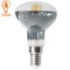 R50 R63 2W 4W LED filament bulb e14 e12 e27 b22 led filament lamp Silver plated led filament bulb