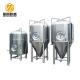 Dish Shape Stainless Steel Brewing Tanks Customized For Pub Brewery