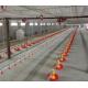 High Accuracy Chicken Feeding Line 1.5KW System Of Feeding In Poultry