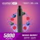 13ML Disposable Mixed Berry Vape Pen , 5000 Puffs 1800mAh Battery Vape Pod
