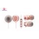 2018 HZD1802E  Hot Sell China  good music quality 6 u speaker color mp3 mobile phone computer wired earphone