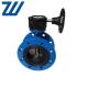 Double Flange Butterfly Valve Gearbox Operated Ductile Iron