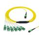 Fiber Optic MPO MTP LC Uniboot Patch Cord Singlemode 12 Fiber Cable For FTTX