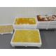 Pharmaceutical medicine Plastic Drying Trays with holes for good drying