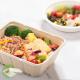 450ml 550ml Natural Eco Biodegradable Bagasse Tableware Salad Fast Food To Go Containers