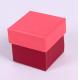 Square Rigid Gift Boxes With Lid, Custom Packaging Box With Sponge Tray For Promotion