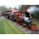 Locomotive Steam Engine Train Rides Day Trip Train Rides For Theme Park