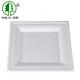 Birthday Cake  Eco Friendly Dishes Easy Takeaway SGS Disposable Rectangular Plates