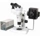 Parallel Gem Stereo Optical Microscope Transmitted Light Microscopes Rohs A23.1004