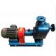 horizontal 800-5000 large flow pump,agrigulture water pump，selfsuction water