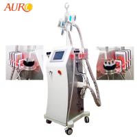 Cellulite Lipo Fat Freezing Cryolipolysis Machine RF 1000W For Salon