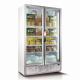 Vertical Two Door Glass Freezer High Perspective With Adjustable Shelves