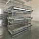 Hot Dip Galvanized Layer Chicken Cage H Type Poultry Farm Equipment