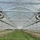 Multi Span Greenhouse With Advanced Technology 50.00cm * 60.00cm * 50.00cm