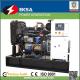 UK RicardoI technical RicardoI 30KW generator sets with smart genset controller reliable quality new arrived