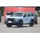 Tank 300 Big Suv Fuel Powered Car With Automatic Transmission And 5 Seats