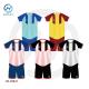 Pro-Style Soccer Jersey Set – 100% Polyester, Breathable & Quick-Dry, Customize for Any Team