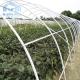 Winter Garden Plant Solar Warm Tunnel Plastic Greenhouse With Heater