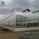 6m Vegetable Plant Commercial Hermetic Glass Greenhouse